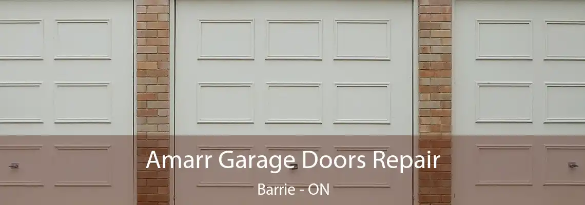 Amarr Garage Doors Repair Barrie - ON