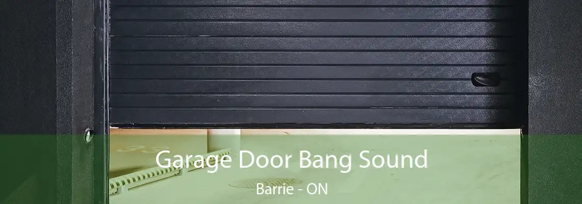 Garage Door Bang Sound Barrie - ON