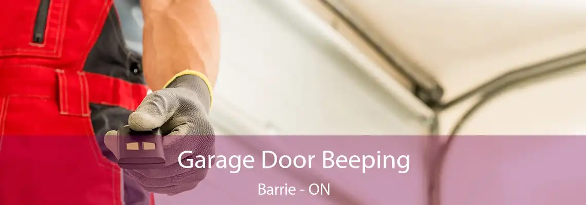 Garage Door Beeping Barrie - ON