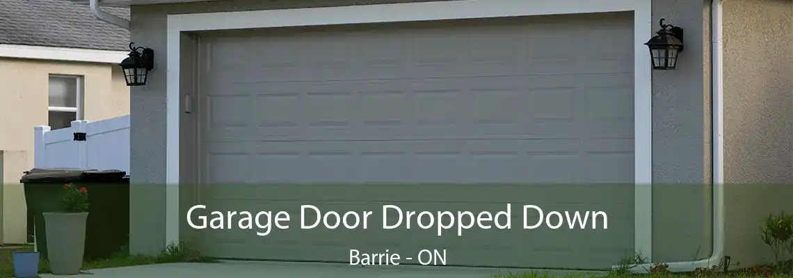 Garage Door Dropped Down Barrie - ON