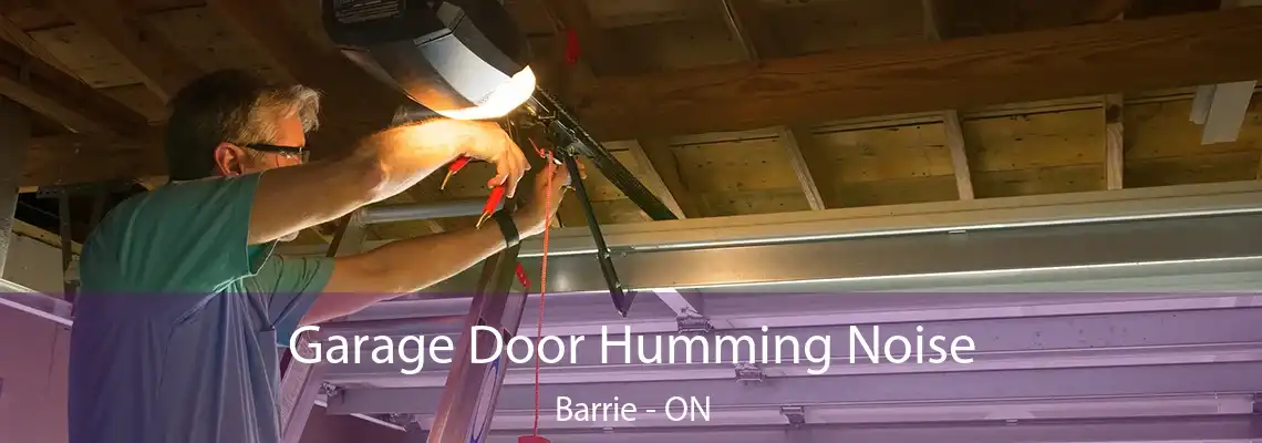 Garage Door Humming Noise Barrie - ON