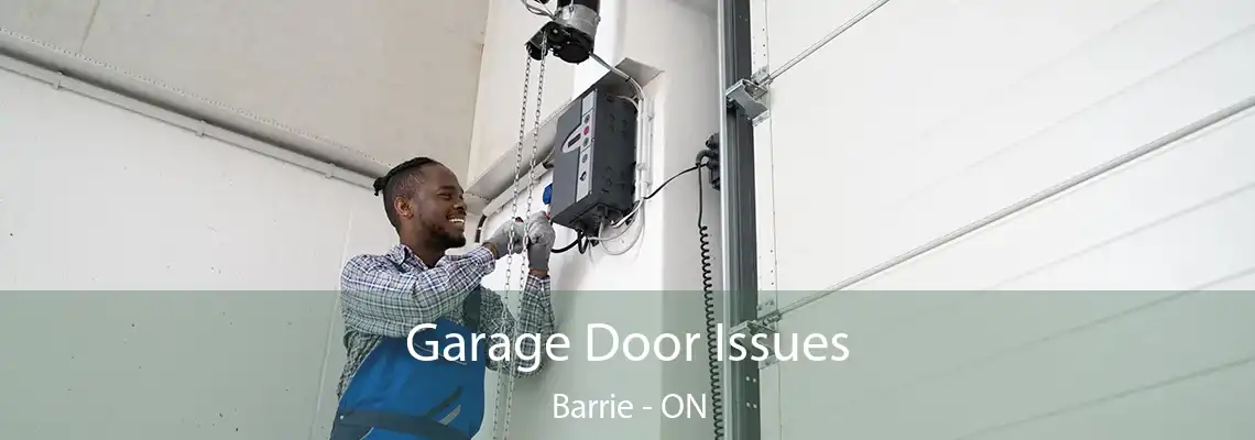 Garage Door Issues Barrie - ON