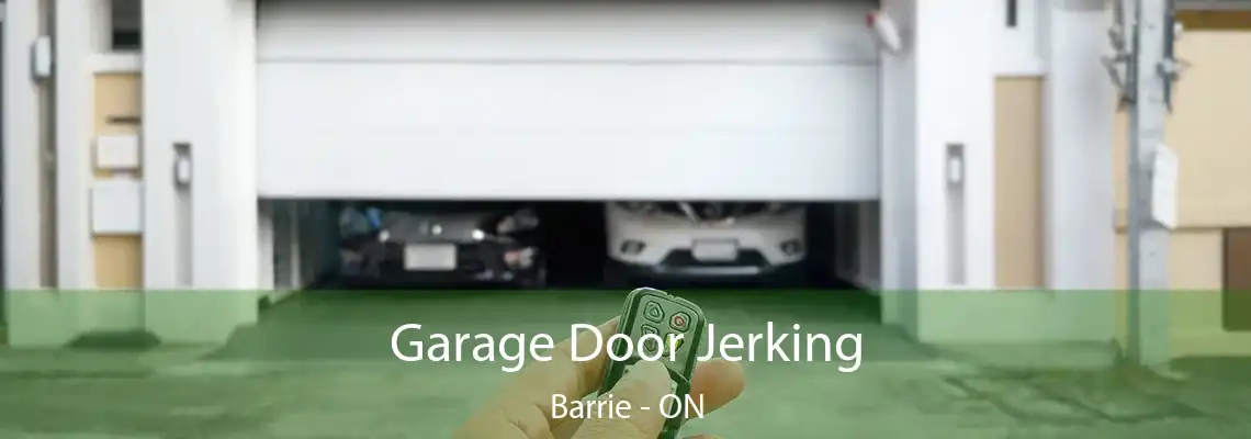 Garage Door Jerking Barrie - ON