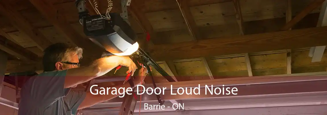 Garage Door Loud Noise Barrie - ON