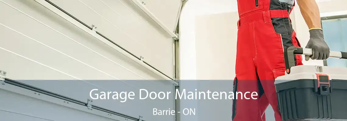 Garage Door Maintenance Barrie - ON
