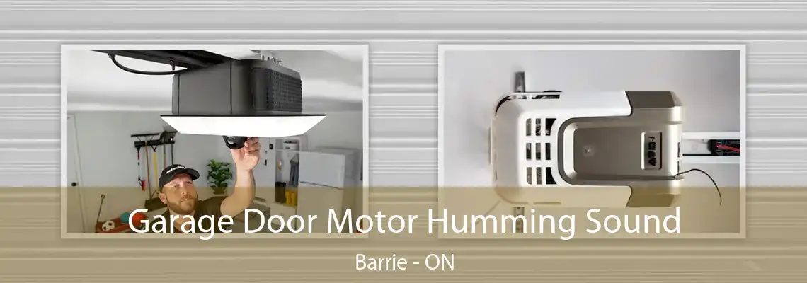 Garage Door Motor Humming Sound Barrie - ON