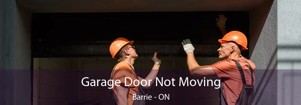 Garage Door Not Moving Barrie - ON