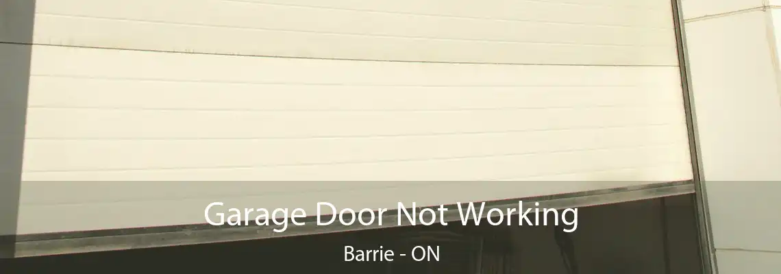 Garage Door Not Working Barrie - ON