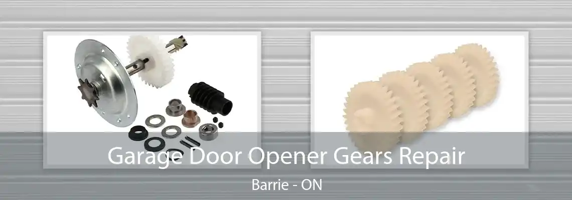 Garage Door Opener Gears Repair Barrie - ON