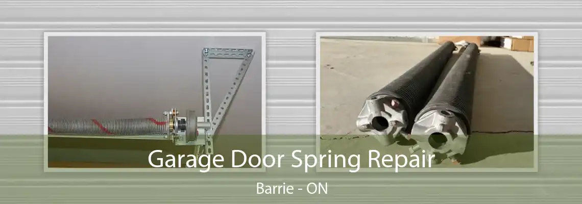 Garage Door Spring Repair Barrie - ON