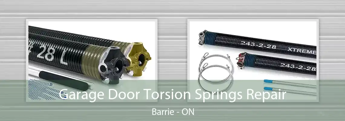 Garage Door Torsion Springs Repair Barrie - ON