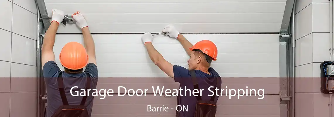 Garage Door Weather Stripping Barrie - ON