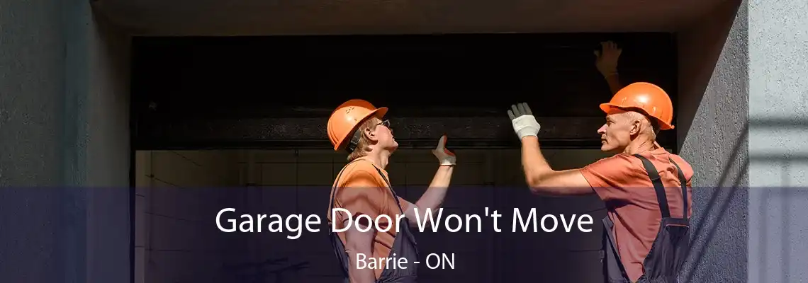 Garage Door Won't Move Barrie - ON