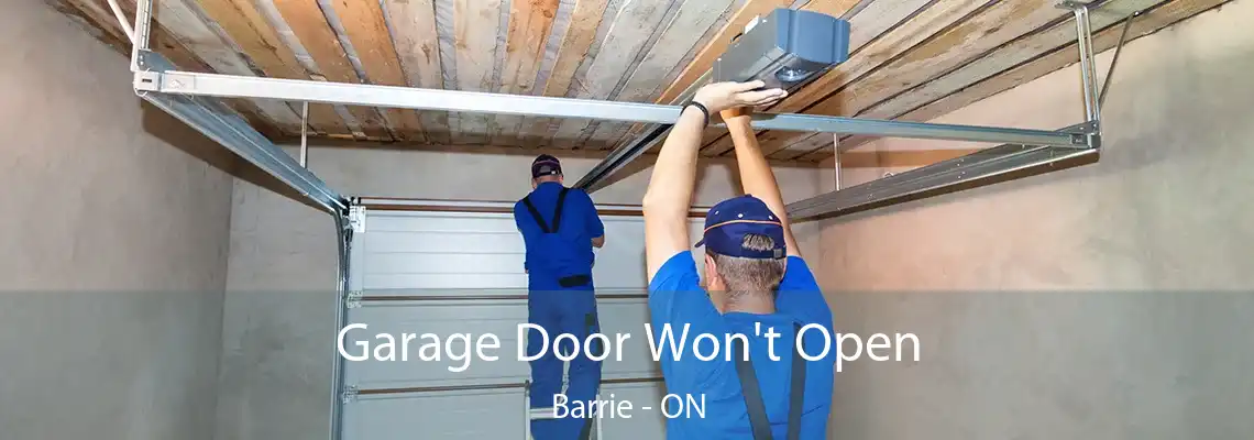 Garage Door Won't Open Barrie - ON